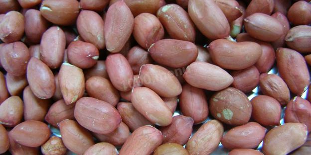 арахисовая паста домашняя