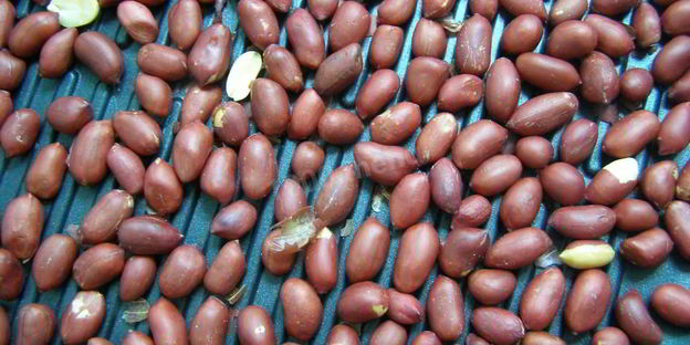 арахисовая паста домашняя