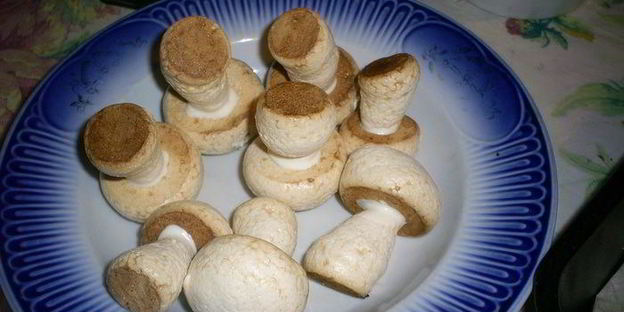 грибки из безе