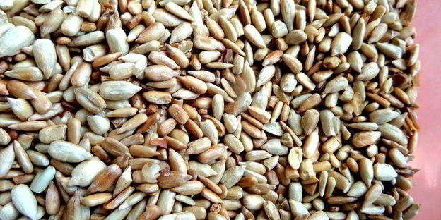 творожный рулет с безейной прослойкой