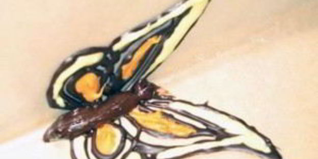 десерт для любимых