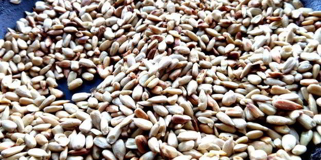 домашняя армянская халва