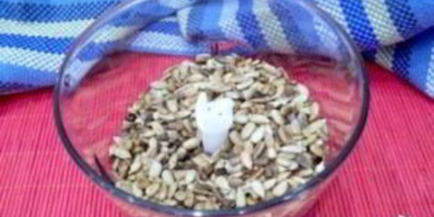 халва из семечек