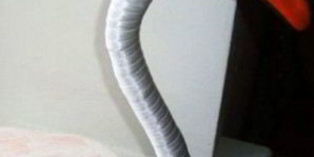 лебеди из конфет