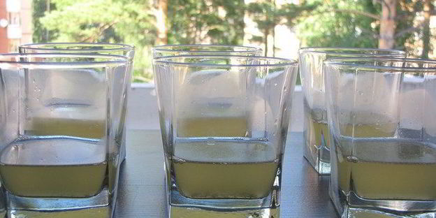 ланспик с кремом из форели и креветками