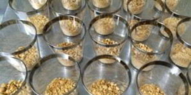 лимонный крем со сгущенкой