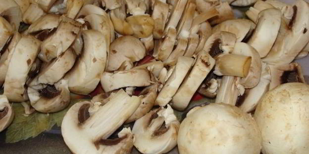 сырные трубочки с кремом