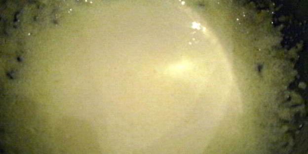 вишневое крем-брюле с вишнями