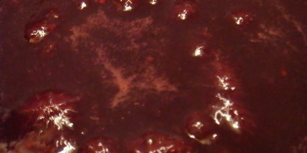 джем-мармелад вишнево-малиновый