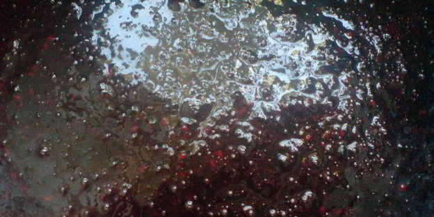 мармелад ежевичная отрада