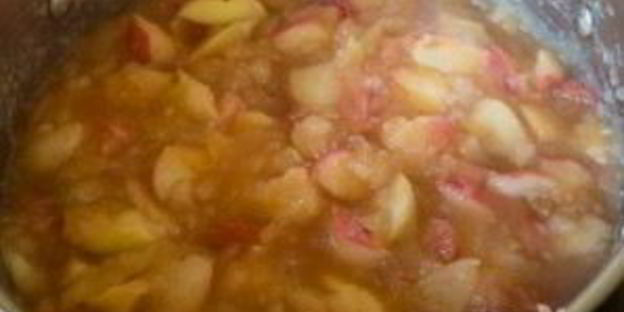 мармелад пластовой яблочный