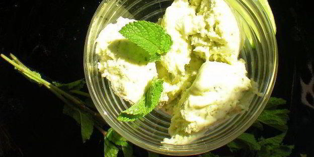 мороженоемохито