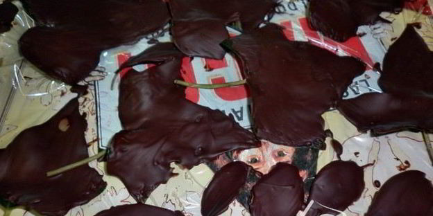 грушевый мусс на шоколадных листьях