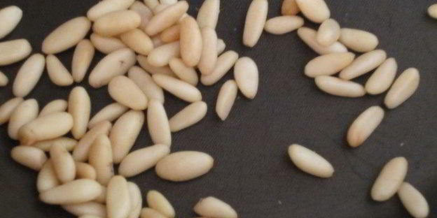 мандариновый мусс