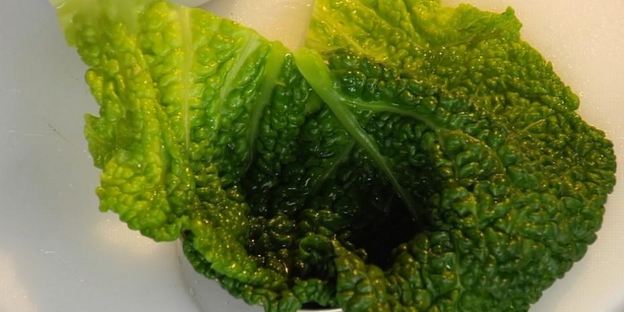 мусс из белой рыбы на пюре из брокколи