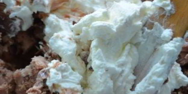 мусс из тунца на абрикосах