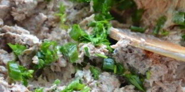 мусс из тунца на абрикосах