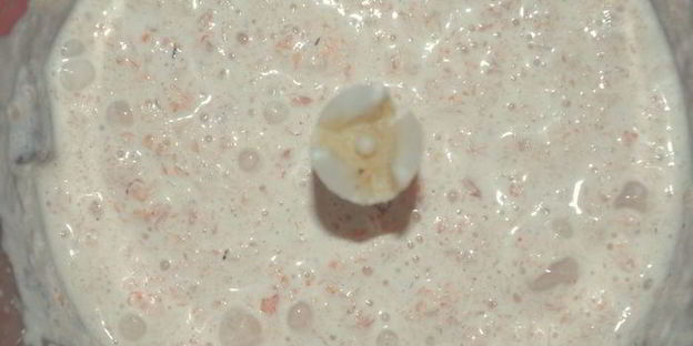 праздничный цукотто из форели с нежнейшим креветочным муссом, огурцом и сливочным кремом