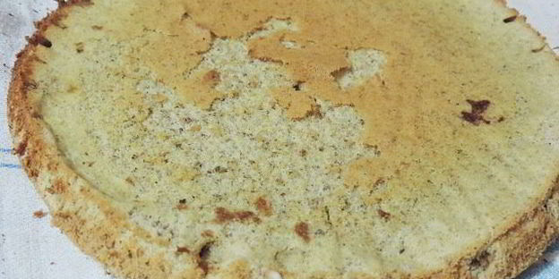 торт-мусс черничный каприз