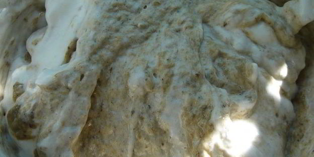 грибное суфле