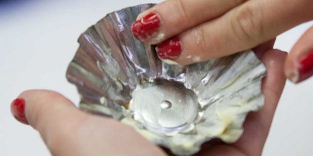 суфле из мягкого сыра