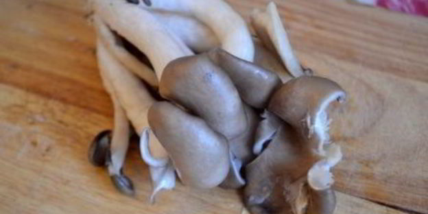 суфле из поленты с вешенками