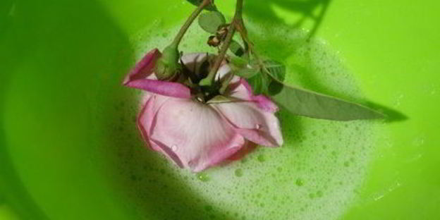 торт-суфле цветочное облако