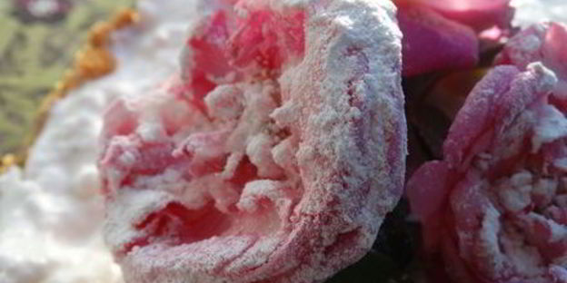 торт-суфле цветочное облако