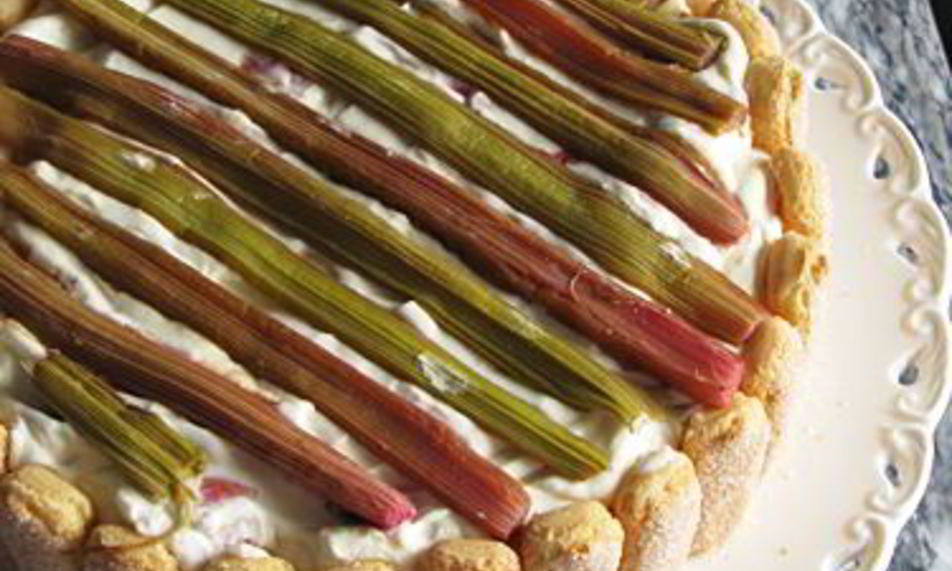 Рецепт ревенного тирамису