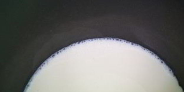 тирамису с молоком