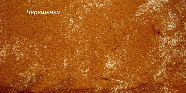 тирамису шоколадный