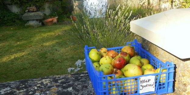 яблочно-мятное желе