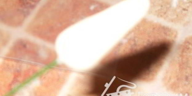 мастика из маршмеллоу и розы