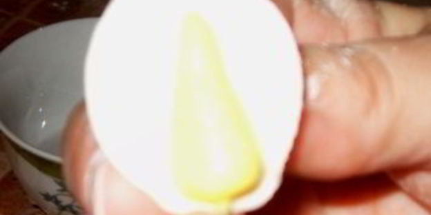 мастика из маршмеллоу и розы