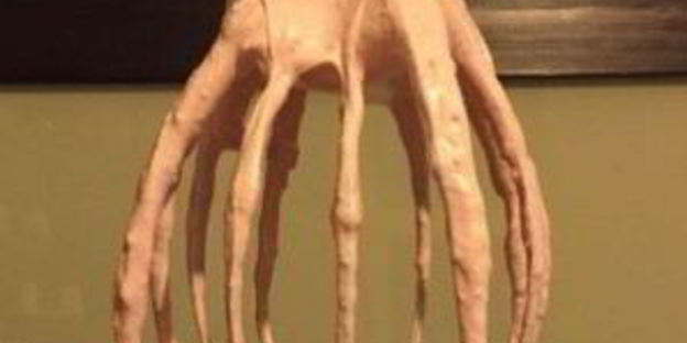 вишневый зефир