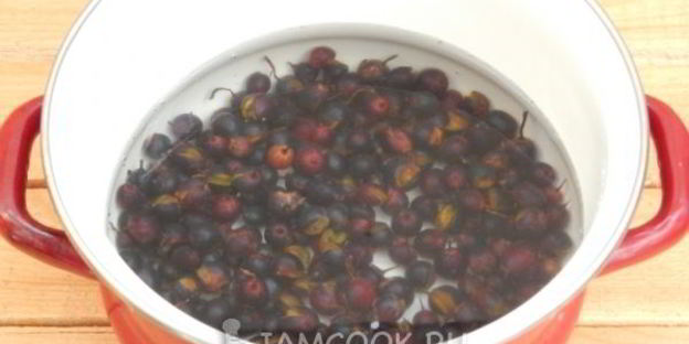 желе из гибрида черной смородины