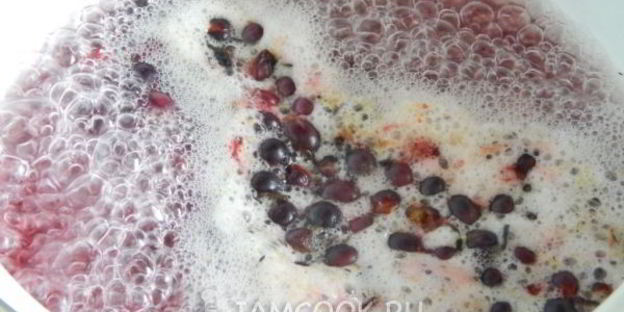 желе из гибрида черной смородины