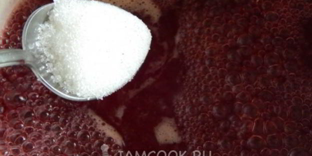 желе из гибрида черной смородины