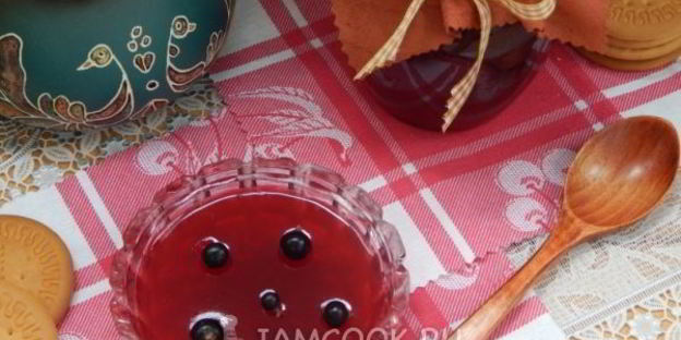 желе из гибрида черной смородины