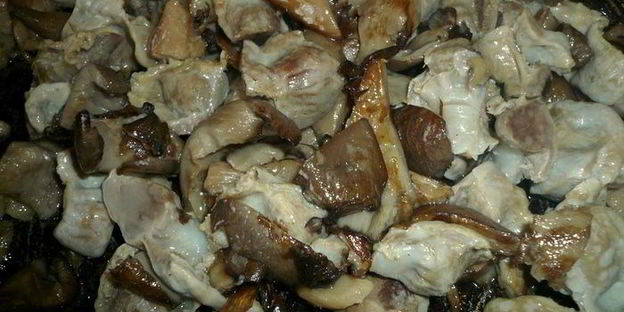 азу из куриных желудков и вешенок