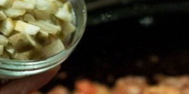 азу из курицы