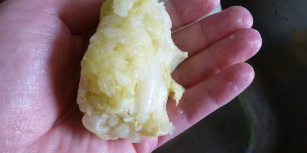 форшмак из капусты