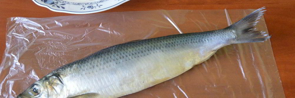 Форшмак из селедки