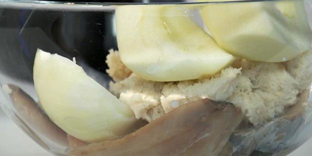 форшмак под шубой