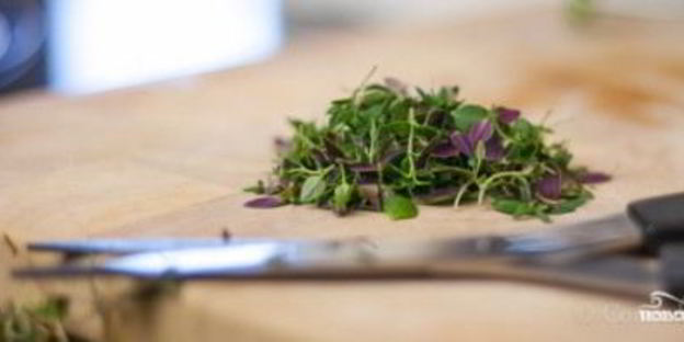 фрикадельки по-итальянски