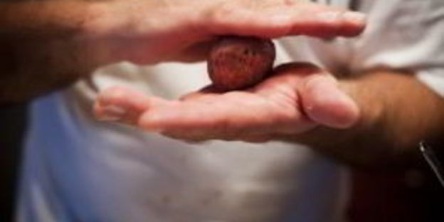 говяжьи фрикадельки