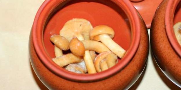 грибы с фрикадельками в горшочках