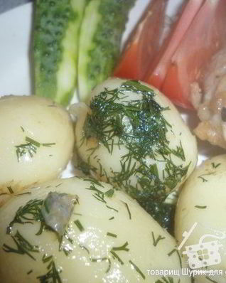 Картофель отварной, сермяжный