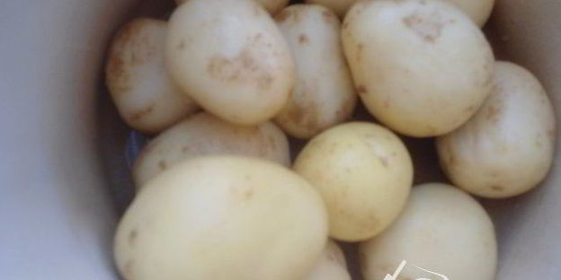 картофель отварной, сермяжный