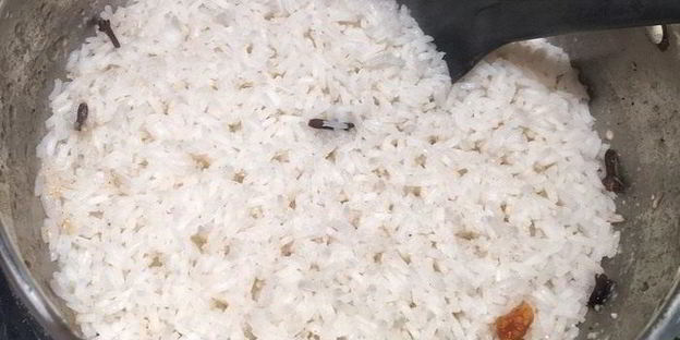 рис с гулу жоу